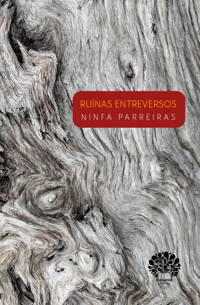 Capa do livro Ruínas entreversos